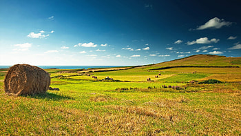 Hay bales, Grass and Sky HD wallpaper