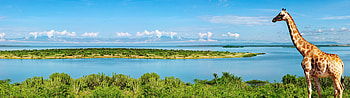 Africa 3840 x 1080 ... HD wallpaper