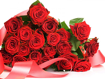 Plants, Flowers, Roses, Bouquets HD wallpaper