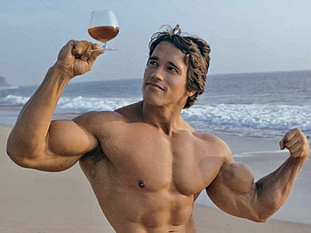 Arnold Schwarzenegger, , Celeb HD wallpaper