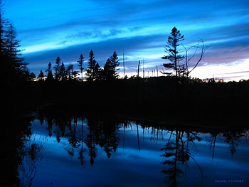 Blue Glow Bog, daniel j towsey, towsey, danieltowsey HD wallpaper