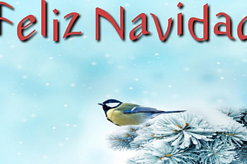 alegres, so many, Christmas, missing HD wallpaper