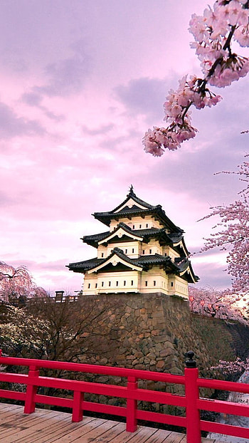 Pinky sky, japan, nature HD phone wallpaper