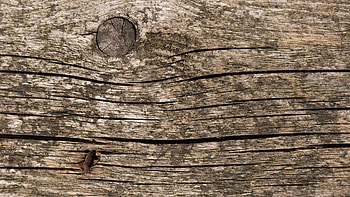 Old wood cabin, Construction detail, Vintage style, Nature HD wallpaper