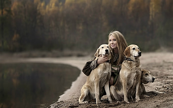 Girl With Labradors, labrador-retriever, dog, animals, labrador HD wallpaper