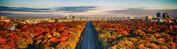 Berlin Skyline, Autumn trees, , Dynamic cityscape HD wallpaper