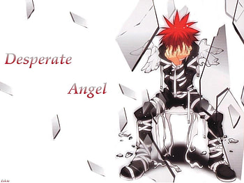 Desperate Angel, wings, white, daisuke, ribbon, dn angel, desperate, angel, sad, broken, glass, shattered, dna HD wallpaper
