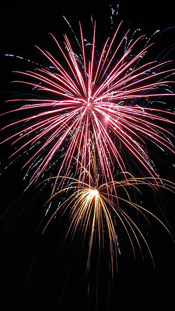 Firework, Pink Firework HD phone wallpaper