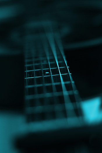 Guitar, Music, Musical Instrument, Vulture, Focus, Strings, Okay, Frets HD phone wallpaper