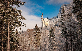 Neuschwanstein Castle, winter, castle, neuschwanstein, baveria HD wallpaper