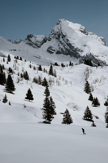 Nature, Trees, Mountains, Snow, Rocks, Spruce, Fir, Snow Covered, Snowbound HD phone wallpaper