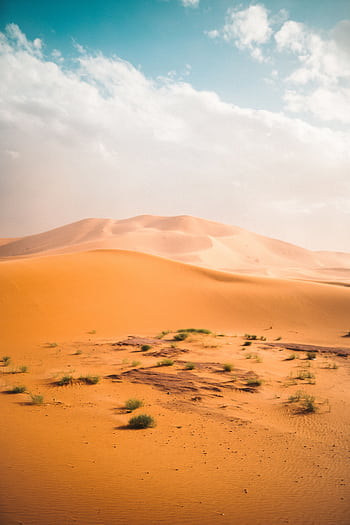 Vast sand dunes under a bright sky in Egypt's Al Wahat Al Dakhla Desert. HD phone wallpaper