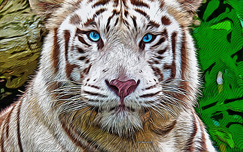 white tiger, , vector art, white tiger drawing, creative art, white tiger art, vector drawing, abstract animals, calm, wild animals, calm tiger HD wallpaper