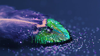 Glitter backgrounds, , Pixelstalk, Colors HD wallpaper