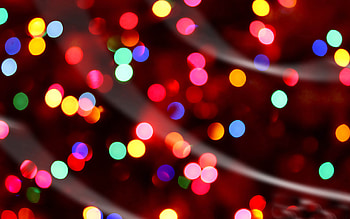 Fairy Lights, Festive illumination, Christmas ambiance, Enchanting beauty HD wallpaper