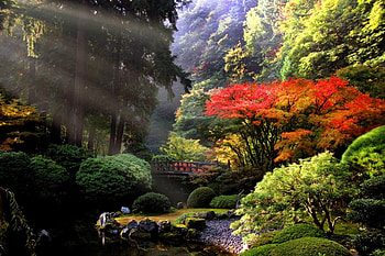 Japanese Garden, sunshine, art , trees, garden, bridge, fullcolours, beautiful, water HD wallpaper