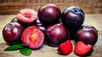 Plum fruit, Striking background, for , YL Computing HD wallpaper