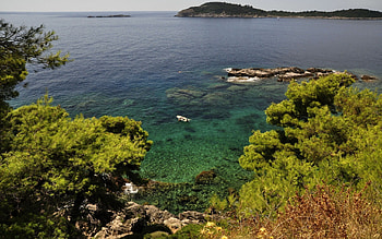Nature, Rivers, Trees, Grass, Sea, Shore, Bank HD wallpaper