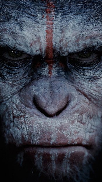 Planet of the Apes, War film, , 13849 HD phone wallpaper