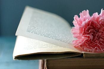 Flower, Miscellanea, Miscellaneous, Book, Page, Bookmark HD wallpaper