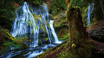 Panther falls Washington , creek, graphy, panther, washington, , nature, water, watterfalls HD wallpaper
