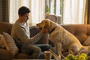 Robbie Amell, Movies actor, collection HD wallpaper