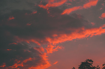 Nature, Sunset, Sky, Clouds, Wood, Tree HD wallpaper
