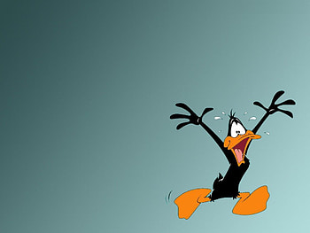 Daffy Duck , Looney Tunes, Cartoon character HD wallpaper