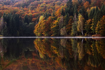 A stunning autumn landscape with colorful foliage reflected in a calm lake, creating a scenic and serene view. HD wallpaper