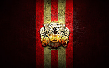 FC Ryukyu, golden logo, J2 League, red metal background, football, japanese football club, FC Ryukyu logo, Ryukyu FC HD wallpaper