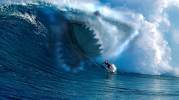 ... wave Â· wave, shark, surfing HD wallpaper