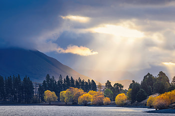 Sunbeams At The Lake S Edge, nature, lake HD wallpaper