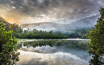 Misty Sunrise, Reflections, Fog, Sunrise, Mist, trees, Nature, mountains, Sky HD wallpaper