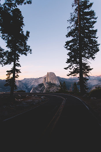 Nature, Trees, Mountains, Road, Spruce, Fir HD phone wallpaper