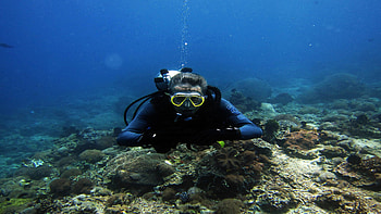 Scuba diving age restrictions, Social diving, Diving opportunities, Underwater exploration HD wallpaper