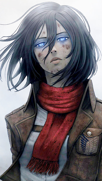 Mikasa Ackerman, jaw, iris, AOT HD phone wallpaper