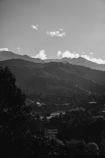 Landscape, Nature, Mountains, Forest, Fog, Bw, Chb HD phone wallpaper