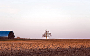 Nature, Wood, Tree, Field, Barn, Hayloft HD wallpaper