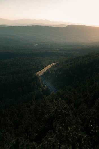 Forest, Nature, Trees, View From Above, Road, Height HD phone wallpaper