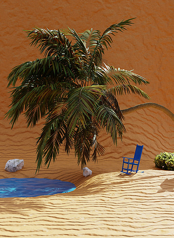 Palm tree and desert, vacation HD phone wallpaper