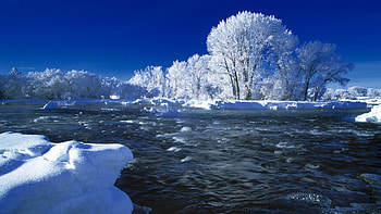 100% Quality - Windows Screensaver - Top Windows Screensaver HD wallpaper