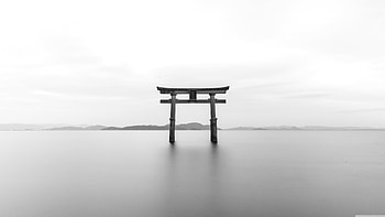 Torii Gate, white, graphy, Japan HD wallpaper