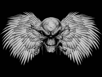 Skull with Wings, skull, horror, wings, dark HD wallpaper