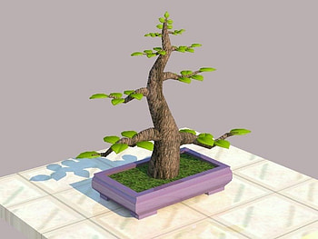 my 3D bonsai drawing, 3d, drawing, tree, bonsai HD wallpaper