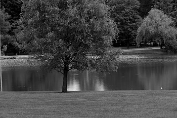 Summers Of Old, little lake, old summer, peaceful lake, scenic lake HD wallpaper