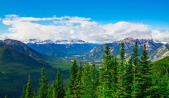 Nature, Trees, Mountains, Snow, Spruce, Fir, Snow Covered, Snowbound HD wallpaper