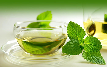 Lemon Balm, Green tea, Soothing beverage, Healthy aroma HD wallpaper