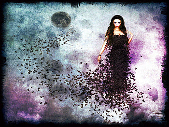 Butterfly dress, gothic, butterflies, pretty, woman HD wallpaper