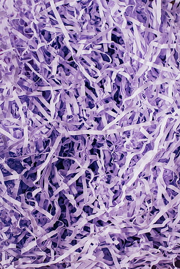 Close-up of purple shredded paper creating a textured background with vivid tones. HD phone wallpaper