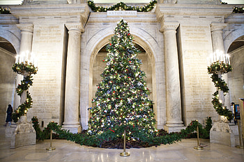 Public Library, New York Christmas HD wallpaper